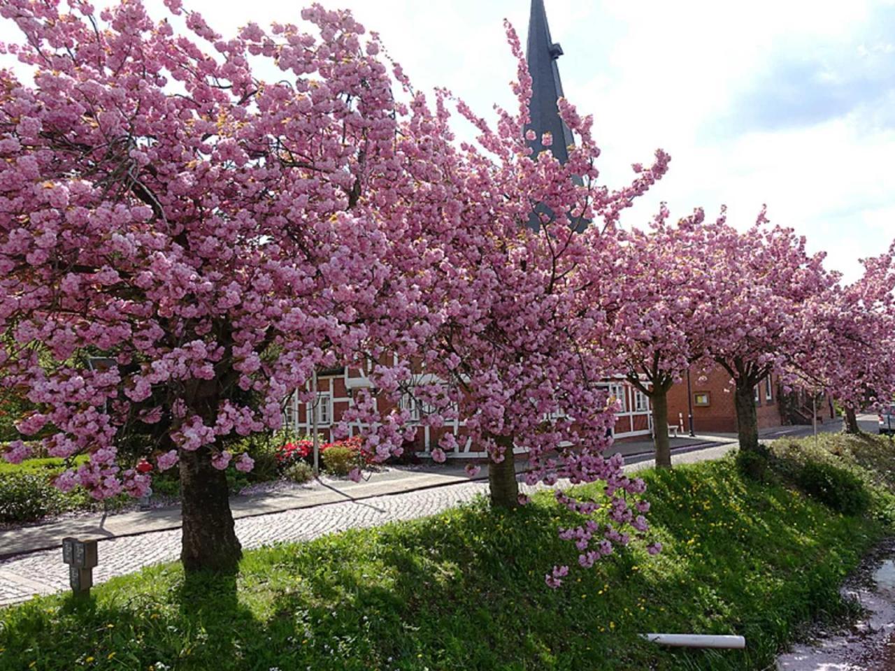 Ferienwohnung Rudis Obstgarten 요크 외부 사진